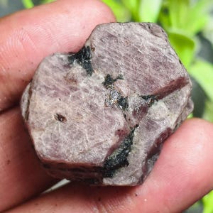 May include: A raw, unpolished gemstone with a hexagonal shape, featuring a dusty mauve and light purple colour palette. The surface displays a rough, crystalline texture with prominent dark black mineral inclusions running through the centre.