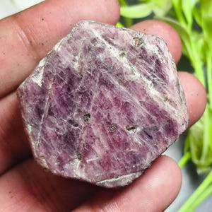 Ruwe roze robijn, een zogenaamde Record Keeper-kristal: grote zeshoekige edelsteen, afmetingen 36 x 43 mm, 515 karaat.