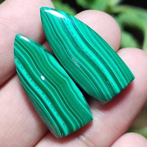 May include: Two polished malachite gemstones. The stones are a vibrant green with darker green, swirling patterns. The gemstones are elongated, with one pointed end and a rounded base. The surface is smooth and reflective.