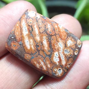 Pietra di diaspro naturale effetto pelle di leopardo, cabochon di diaspro effetto pelle di leopardo, pietra preziosa di diaspro baguette, cristallo curativo di diaspro per gioielli con ciondolo.