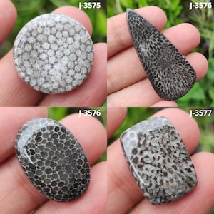 Cabochão de coral fóssil preto natural, pedra preciosa solta, coral fóssil preto, pedra preciosa de coral fóssil, fóssil indonésio, pedra preciosa para fabricação de joias
