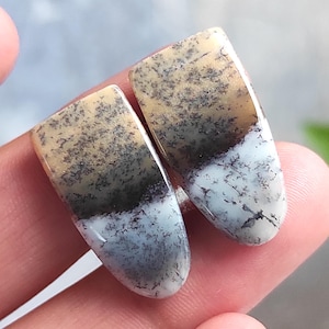 Paire de cabochons d'opale dendrite, opale dendritique, pierre précieuse polie, pierre précieuse de forme fantaisie, pierre précieuse en vrac, fabrication d'opale dendrite pour bijoux