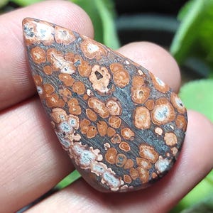 Natural Leopard Skin Jasper Stone, Leopard Skin Jasper Cabochon, Pear Jasper Gemstone, Jasper Healing Crystal For Ring,Pendant Jewelry Stone