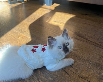 Cat Sweater