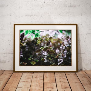 Wall Art, South Africa Forest Flower Art Print, Digital Download, Flower, Nature, Travel, Photography, Printable Instant Download