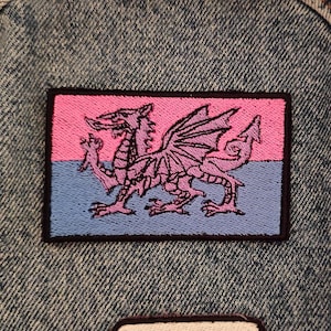 Peut inclure: Écusson brodé représentant un drapeau rose et bleu avec un dragon. Le patch rectangulaire, bordé de noir, est fixé sur une veste en jean. Le dragon est une illustration détaillée et stylisée.