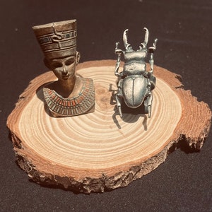 Beetle ring| Bug jewelry| Silver Statement ring| size 8
