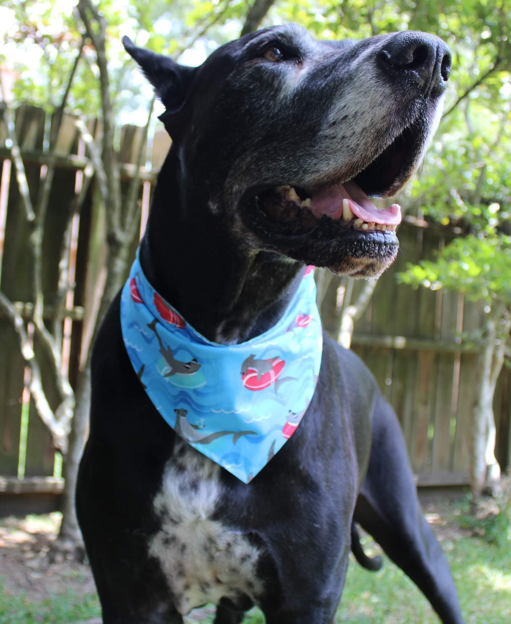thumbnail image 2 of PET SHOW Dog Birthday Bandanas For Large Medium Dogs Paw Print Reversible Triangle Scarf Girl Party Bib Pets Grooming Accessories Purple Girls L E11 2 of 10