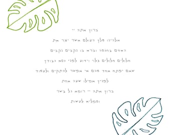 Asher Yatzar Digital Download