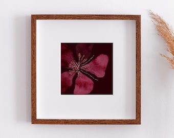 Lovers' Series: Ra'ayti | Shir HaShirim (Song of Songs) Anniversary, Wedding, Home Gift