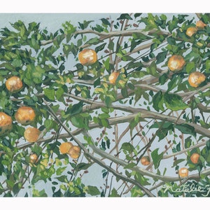 Orange Tree Print