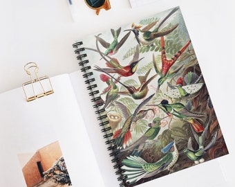 Beautiful Colorful Birds Art Spiral notebooks | Soft cover journal | Inspirational message |