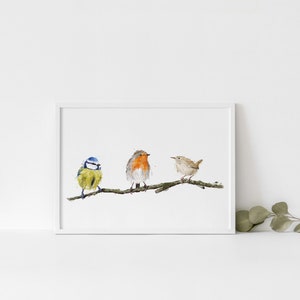 3 stampa d'arte acquerello British Birds / Robin Wren e cinciarella / Idea regalo natura / Garden Bird Poster / Home Print Decor Wall Art
