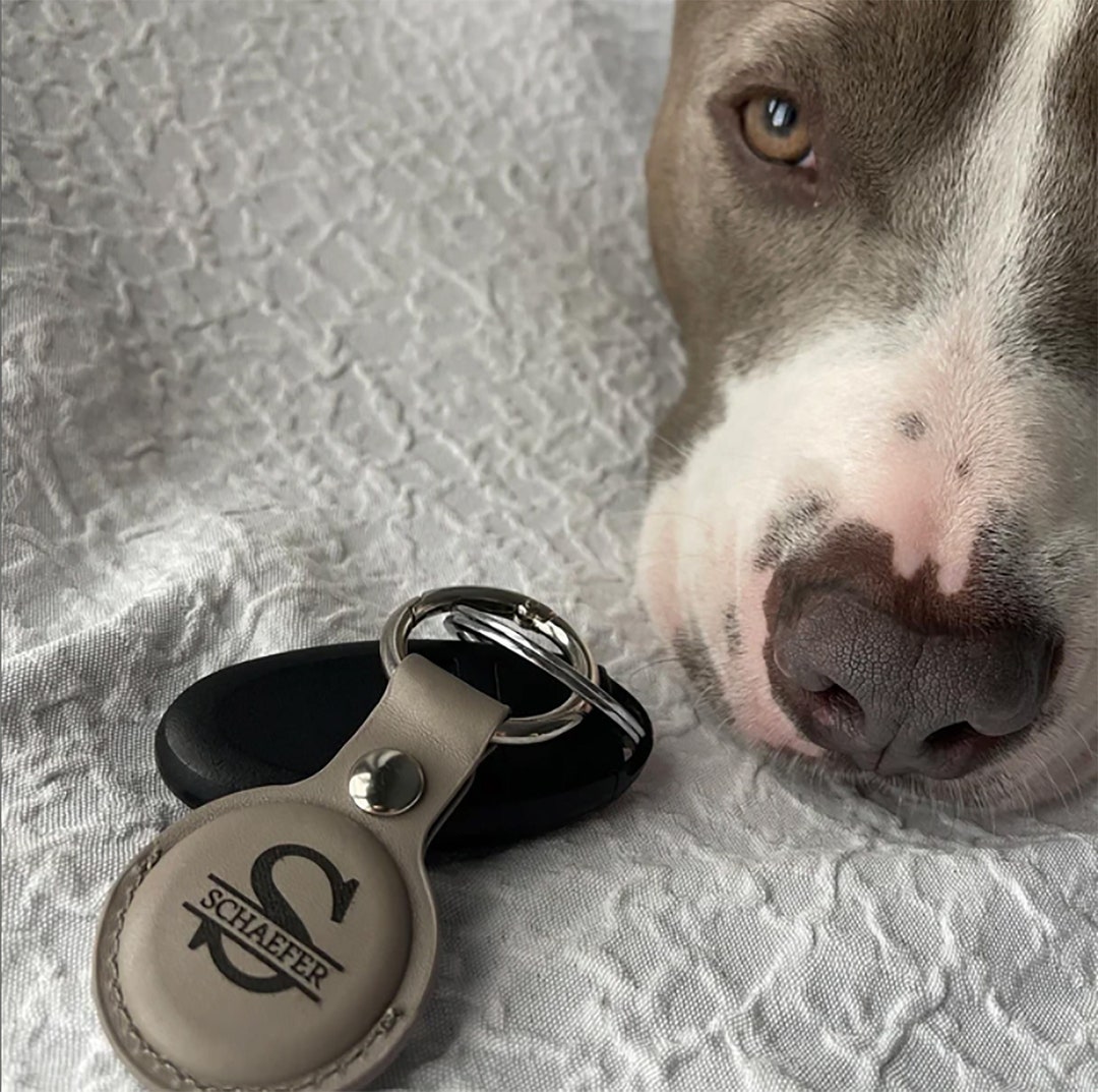 Custom AirTag Dog Collar AirTag Keychain AirTag Holder Dog Etsy