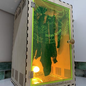 Biltong Maker Box: Family Food Dehydrator with Fluorescent Yellow Door