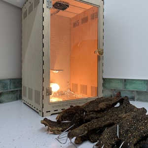 Biltong Box, Biltong Maker, Family Biltong Factory, Beef Jerky Dehydrator, Meat Dryer, Clear Acrylic Door
