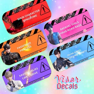 L&DS Visor Decals