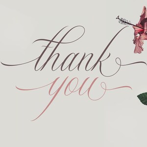 May include: A white background with the words "thank you" written in cursive script. The words are in a dark brown color. There are pink flowers and green leaves on either side of the words.