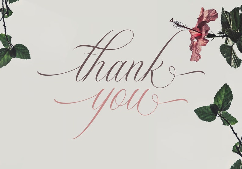 May include: A white background with the words "thank you" written in cursive script. The words are in a dark brown color. There are pink flowers and green leaves on either side of the words.