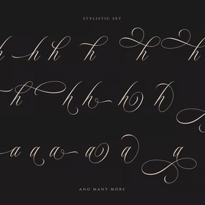 May include: A stylistic set of handwritten letters, showing different variations of the letters 'h' and 'a'. The text 'STYLISTIC SET' and 'AND MANY MORE' are also included.