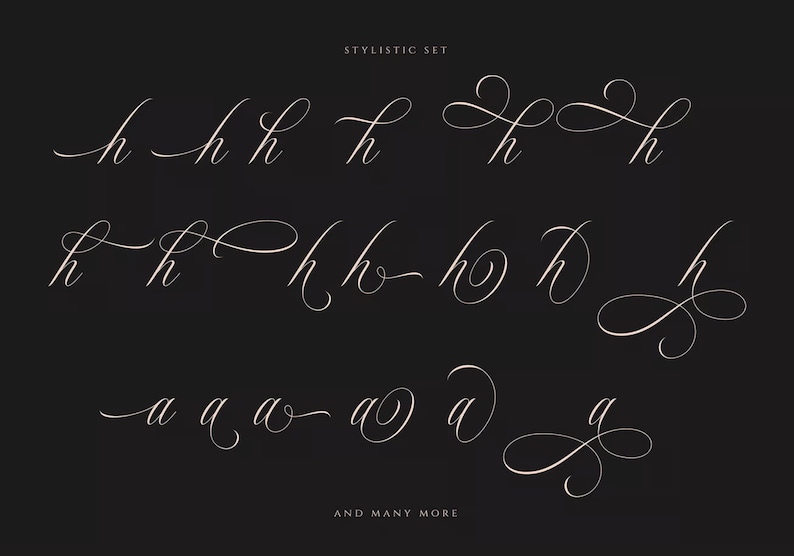 May include: A stylistic set of handwritten letters, showing different variations of the letters 'h' and 'a'. The text 'STYLISTIC SET' and 'AND MANY MORE' are also included.