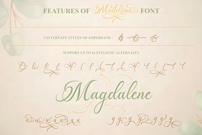 Pu&ograve; includere: Un esempio del font Madelican, un font di scrittura corsivo con 16 alternative stilistiche. Il font &egrave; mostrato su uno sfondo rosa chiaro con fogliame verde. La parola "Magdalene" &egrave; scritta nel font, insieme a esempi della lettera "a" e "g" con diverse alternative stilistiche.