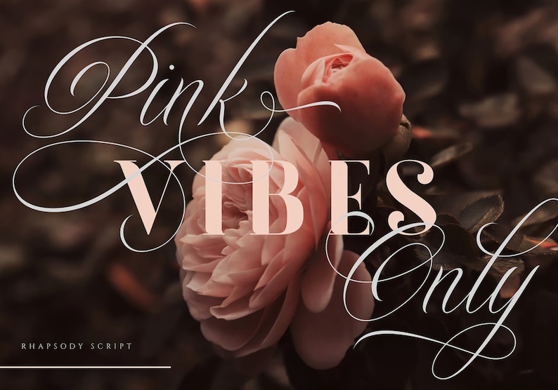 May include: Pink Vibes Only in a script font with a delicate floral design. The text is overlaid on a photo of two pink roses.