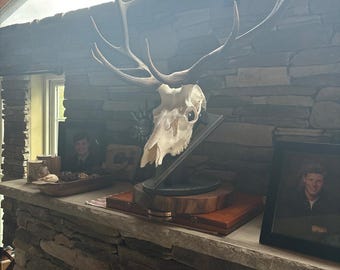ELK Euro Mount Pedestal - FREE PERSONALIZATION