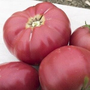 Pu&ograve; includere: Quattro grandi pomodori rossi maturi. I pomodori sono lisci e hanno una finitura lucida.