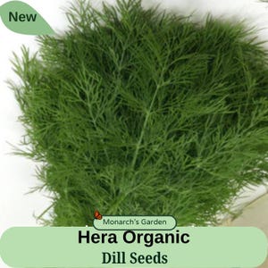 May include: Close-up of fresh, vibrant green dill. The image features the text "Hera Organic Dill Seeds" and a "New" label. The dill appears to be freshly harvested, with delicate, feathery leaves.