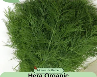 May include: Close-up of fresh, vibrant green dill. The image features the text "Hera Organic Dill Seeds" and a "New" label. The dill appears to be freshly harvested, with delicate, feathery leaves.