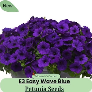May include: A vibrant display of E3 Easy Wave Blue Petunia Seeds. The image showcases a lush arrangement of deep purple petunia flowers, with a 'New' tag in the upper left corner. The flowers are in full bloom, creating a dense, colorful presentation.