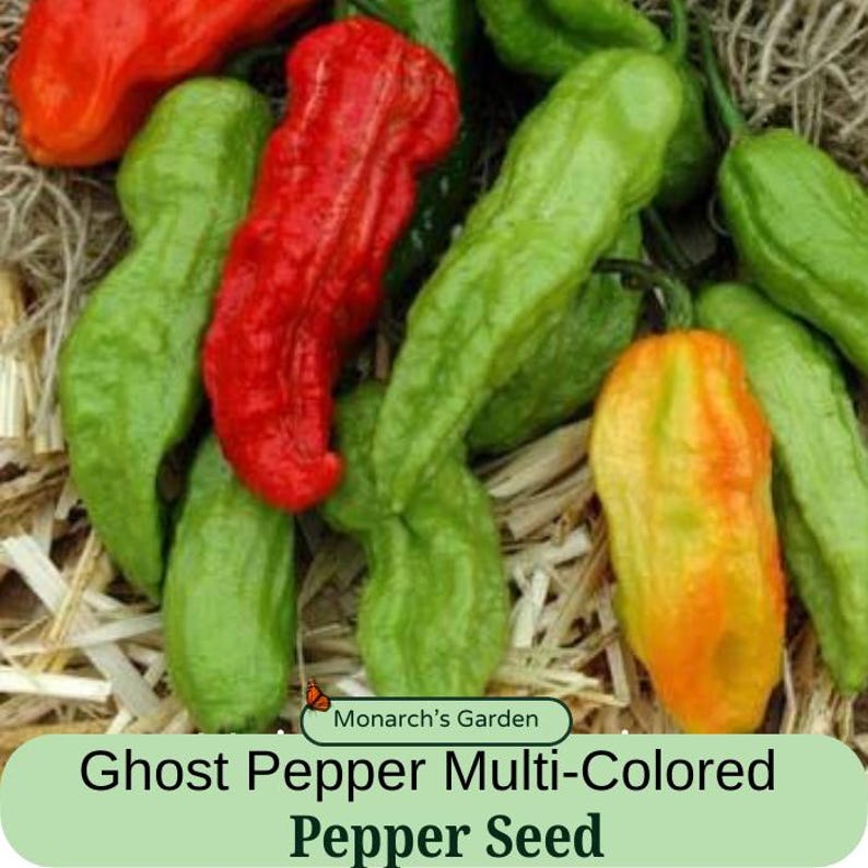 Pepper Seeds Ghost Pepper Multi-Colored Seed