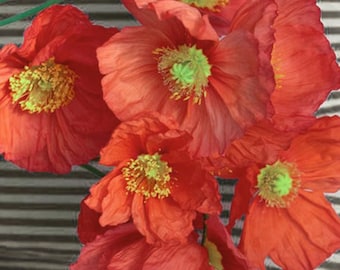 May include: A cluster of vibrant red poppy flowers with yellow and green centers. The petals are delicate and ruffled, with a translucent quality. The flowers are arranged against a striped background, creating a striking contrast.