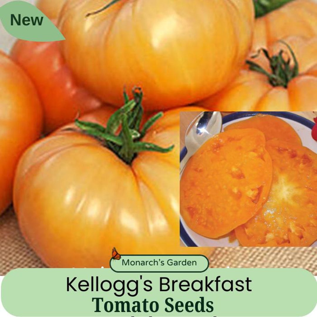 Kellogs Breakfast Tomato