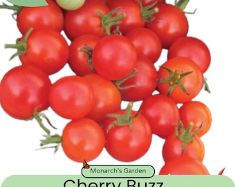 Cherry Buzz Tomato Seeds - Etsy