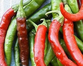 Pepper Seeds - Hot - Cayenne Long HEIRLOOM Non-GMO.Open Pollinated