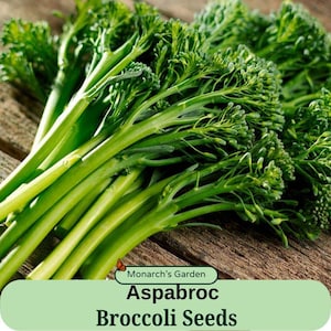 May include: Close-up of a bunch of green asparagus broccoli. The broccoli is arranged on a wooden surface. The text "Monarch's Garden Aspabroc Broccoli Seeds" is displayed on a green and white label.