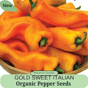 Organic Pepper Seeds GATHERER&#39;S GOLD Sweet ITALIAN Pepper Seeds Open Pollinated