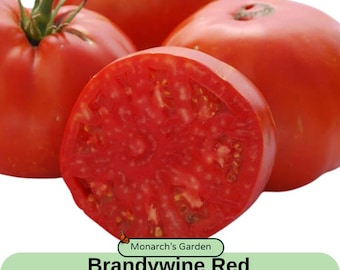 Heirloom Tomato Seeds - Brandywine Red Seeds - Open Pollinated, USA SELLER