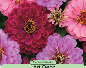 Art Deco Zinnia Seeds mix offers Huge 5 inch blooms in bold shades of Pink, Lavender, Red, and Purple
