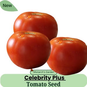 May include: Three red ripe tomatoes, labeled "Celebrity Plus Tomato Seed" from Monarch's Garden.