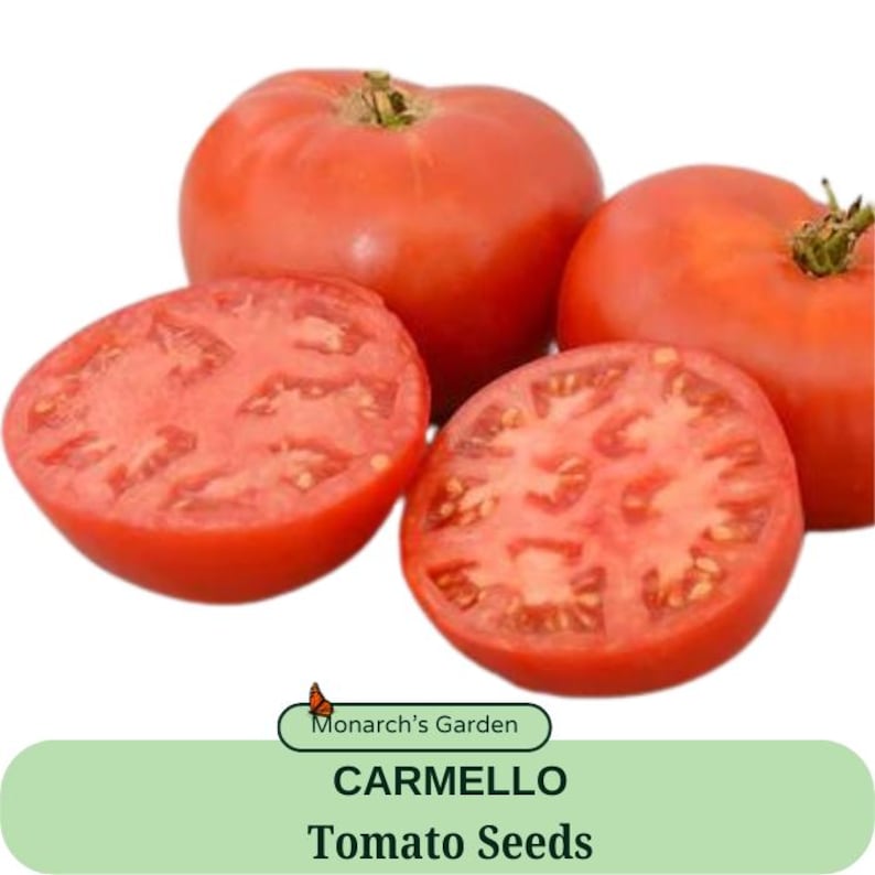CARMELO Tomato Seeds