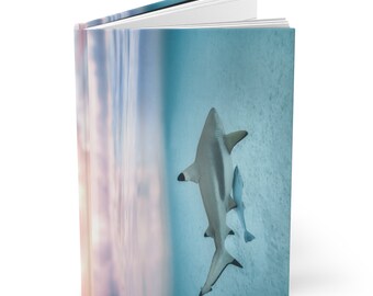 May include: A close-up of a shark swimming in clear blue water with a pink and orange sunset in the background.