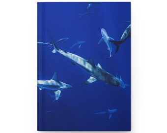 May include: A group of sharks swimming in a deep blue ocean. The sharks are all different sizes and shapes, and they are swimming in a variety of directions. The water is clear and blue, and the sun is shining brightly.