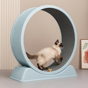 Cat Exercise Wheel – Silent Treadmill for Indoor Cats | Anti-Pinch Design & Scratch Pad | Large Size 31 inches