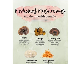Medical Mushrooms And Their Benefits