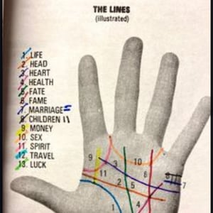 PALM READING LINES how to read palms, spirituality,  fortune telling and reading