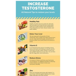 May include: A yellow and orange infographic with the title "Increase Testosterone" and a list of natural tips to restore testosterone levels, including healthy fats, detoxing your liver, vitamin D, reducing stress, zinc, HIIT workouts, and intermittent fasting.