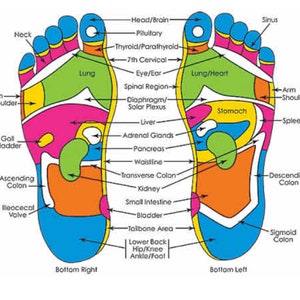 TABEL VOETENREFLEXOLOGIE, voor massages en acupunctuur